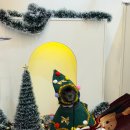 포포픽스 이미지