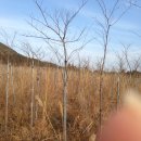 상창농장 이미지