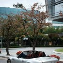 BMW Z3 - 시트가죽 교체 후 첫 나들이 ! 이미지