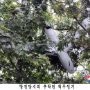 북한,평양드론 국군이 보낸증거 제시 이미지