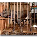 다금농장 이미지