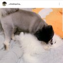 오.빵