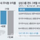 미소전자 이미지