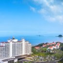 아일랜드 이미지