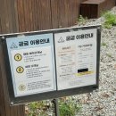 1546 | 대형견동반도 가능한 애견동반 캠핑식당 남양주 굼굼 커플set 방문후기!⛺️