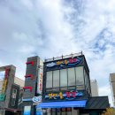 갯마을가든펜션 | 보성 율포해수욕장 맛집 추천 받은 갯마을횟집 (막회,물회)