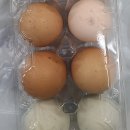 미정식당 이미지