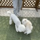 문앤트리 이미지