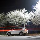 드림셀프세차타운 이미지