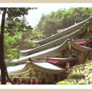 정발산 도당굿 이미지