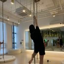 젤라인댄스