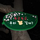 꽃보라동산 이미지