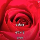 영상시 ＜공명의 꽃 ＞ 시 사진: 김세영 이미지