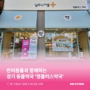 영플러스약국 네이버블로그