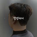 앨범헤어 춘천점