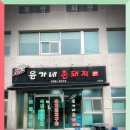 촌돼지 이미지