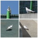 전남재활사 이미지