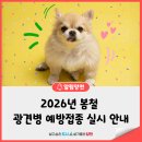 쿨펫이마트 목동점 동물병원 | 2026 봄철 반려동물 광견병 예방접종 실시 안내🐶🐱