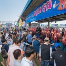 저도 대문어축제 이미지