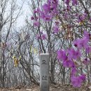 혜림회관 | 100대명산+ 구례오산 사성암 최단코스 (44/114)