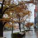 늘다봄의원 이미지