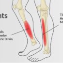 R1 운동과학센터 이미지