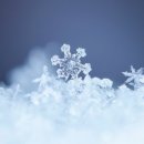 리투의원 | 여수피부과 스킨부스터, 리투오가 주목받는 이유