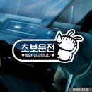 소심이 몰