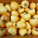 마천농장 이미지