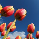 개화전기충전소 이미지