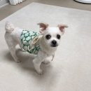 금학아파트 내 | 냅다 25.05~07 일상