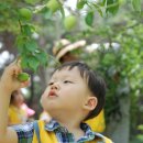 송제농원 이미지