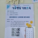 모아자원 | 하남 감일동 V데이 자원봉사 플로깅 1365 후기(+기후행동기회소득 리워드)