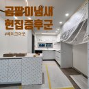 반지하 곰팡이 냄새, 헌집증후군 베이크아웃 필요할까