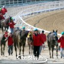 마분공원 이미지