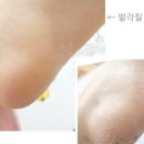 미니 브로우