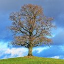 생각하는 힘, 인문학 이미지