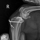 사직동물의료센터 이미지