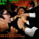 와우정비 Daum카페