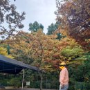 장박 | [캠핑후기] 6년차 캠퍼가 들려주는 장박의 세계: 장박 장단점과 후기