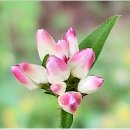 문막체육공원길 이미지