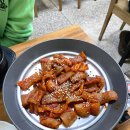 조박사 이미지