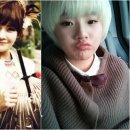 베베미뇽 이미지