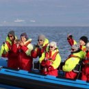 고래농장 이미지