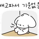 사계손칼국수