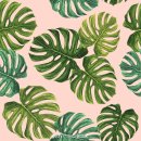 보테니컬 일러스트 이미지