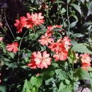 신일아파트상가 이미지