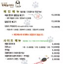 개떼놀이터 인천점 이미지