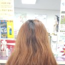 구피샵대구상동점 이미지