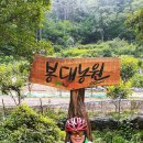 연암재2 Daum카페